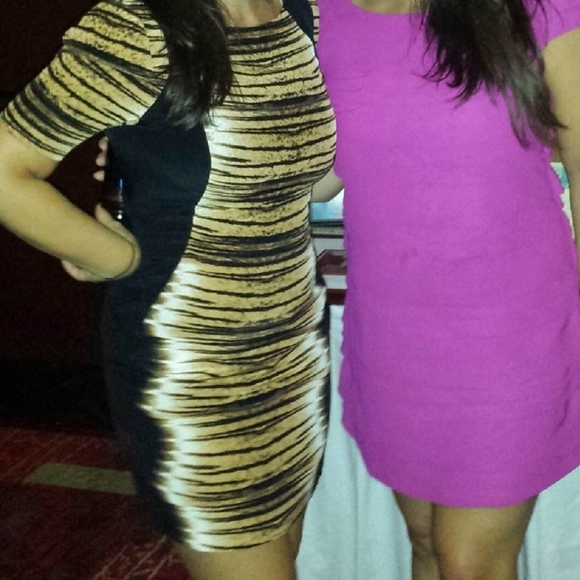 Rebecca Mincoff Marco Tigerprint Dress - Picture 9 of 9